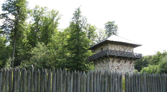 Expansion Romaine et Déforestation en Gaule et Germanie Expansion Romaine et Déforestation en Gaule et Germanie