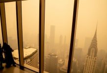 Fumée des Feux de Forêt Tue Plus de 24.000 Américains Fumée des Feux de Forêt Tue Plus de 24.000 Américains