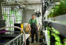 Pari Fou d’un Entrepreneur pour Cultiver des Salades au Groenland Pari Fou d'un Entrepreneur pour Cultiver des Salades au Groenland