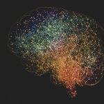 Prise De Sang Prédictive Pour Alzheimer Et Démences Prise De Sang Prédictive Pour Alzheimer Et Démences