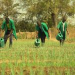 Trois Écoles Agricoles à Bassila Ouessè et Zè Trois Écoles Agricoles à Bassila Ouessè et Zè