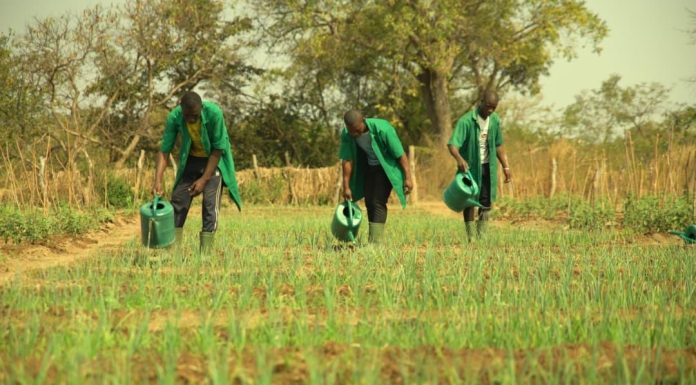 Trois Écoles Agricoles à Bassila Ouessè et Zè Trois Écoles Agricoles à Bassila Ouessè et Zè