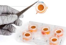 Donner une seconde vie à la peau Donner une seconde vie à la peau