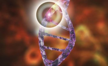 IA Identifie Mutations Génétiques de Maladies Rares IA Identifie Mutations Génétiques de Maladies Rares