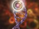 IA Identifie Mutations Génétiques de Maladies Rares IA Identifie Mutations Génétiques de Maladies Rares
