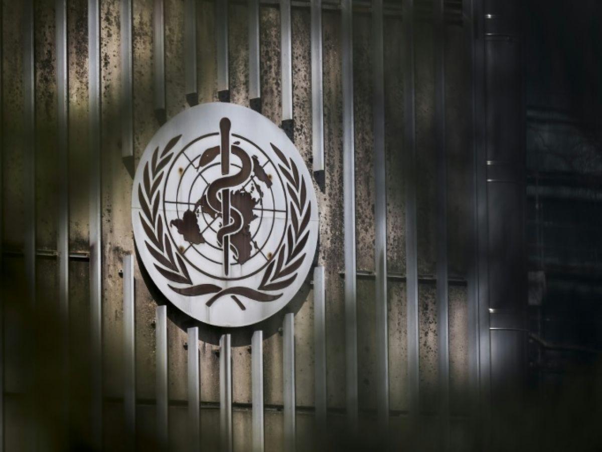 Négociations Cruciales à l'OMS sur Vaccins et Pathogènes Négociations Cruciales à l'OMS sur Vaccins et Pathogènes