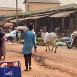 Le Niger Exige des Garanties Avant la Réouverture Le Niger Exige des Garanties Avant la Réouverture