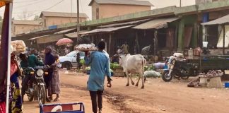 Le Niger Exige des Garanties Avant la Réouverture Le Niger Exige des Garanties Avant la Réouverture