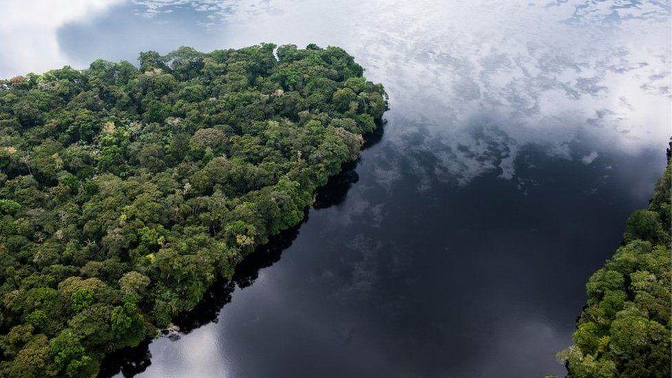 Congo peat: The 'lungs of humanity' which are under threat Congo peat: The 'lungs of humanity' which are under threat