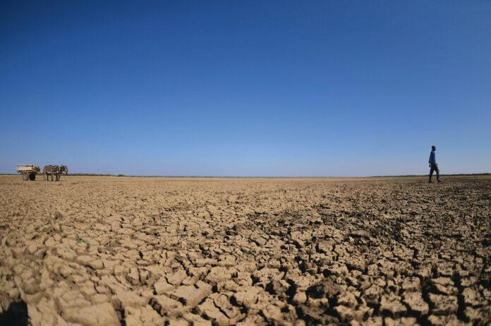 Climate Change threatens Botswana’s tourism- World Bank Climate Change threatens Botswana’s tourism- World Bank