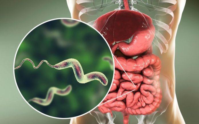 Botswana on high alert for diarrheal disease Botswana on high alert for diarrheal disease