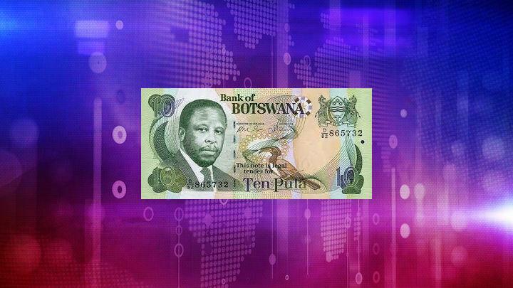 Forex Reserves stood at P56bn at End of 2021 – BoB Forex Reserves stood at P56bn at End of 2021 – BoB