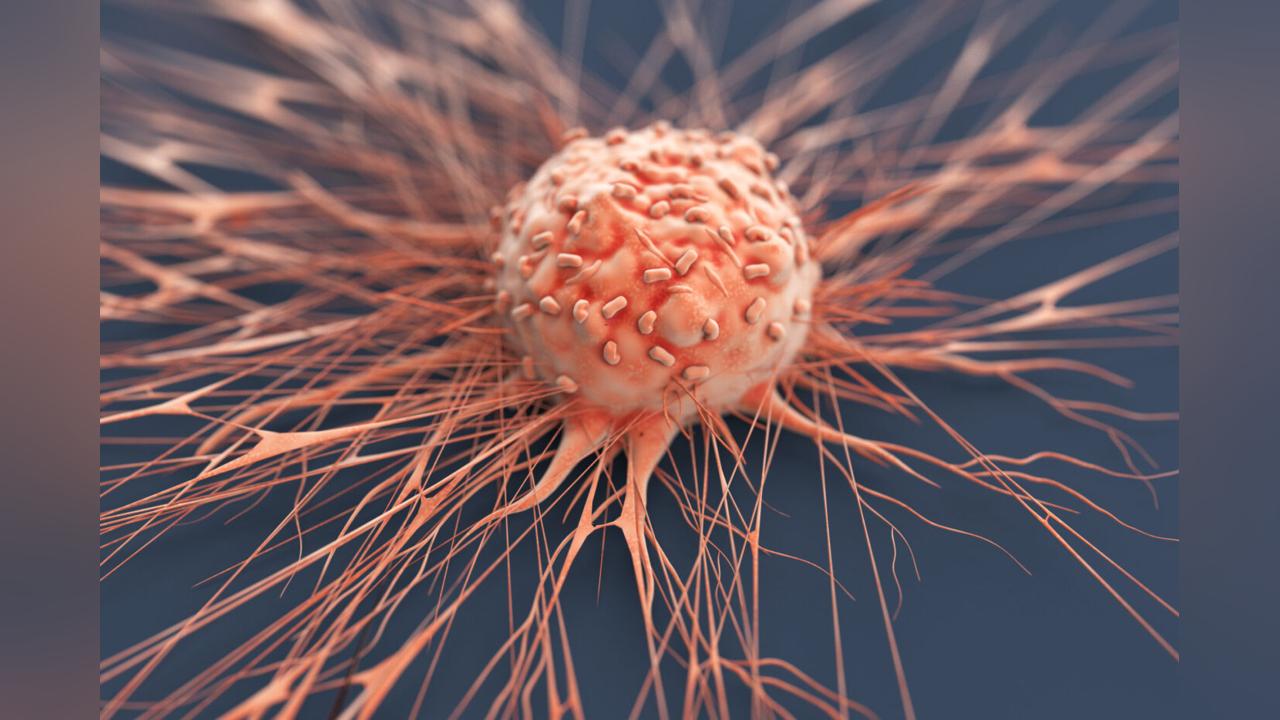 'CANCER PREVENTION NOW PRIORITY 'CANCER PREVENTION NOW PRIORITY