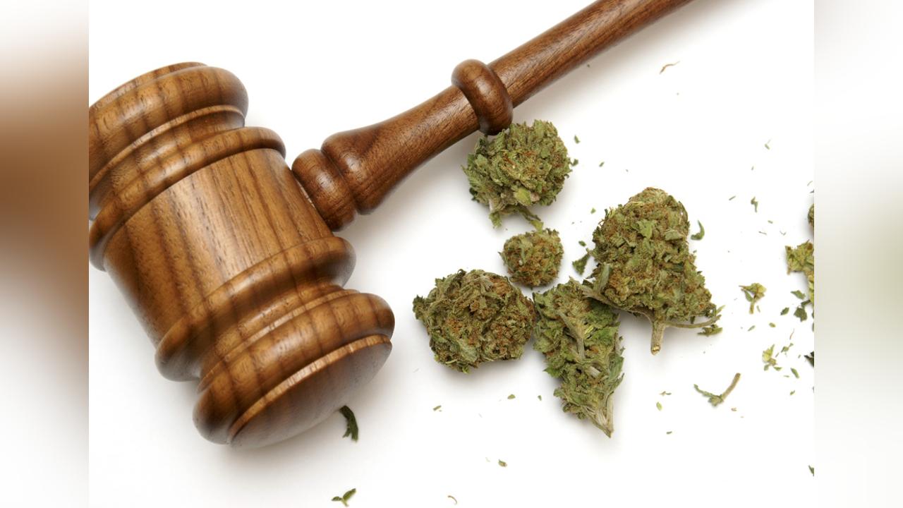 LAW ENFORCEMENT AGENCIES TAKE DRUG DETECTION SERIOUSLY LAW ENFORCEMENT AGENCIES TAKE DRUG DETECTION SERIOUSLY