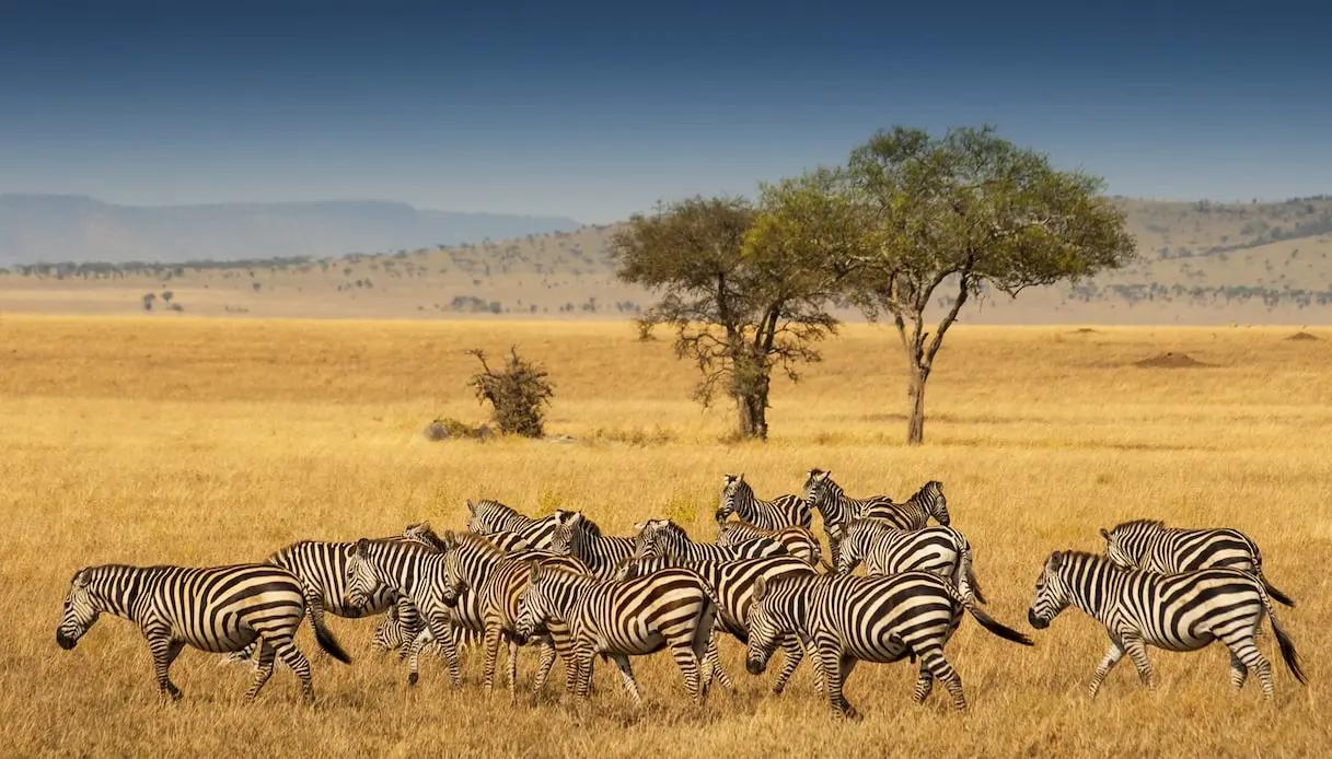 YOUTH PRAISES CHILDRENS PROGRAMME YOUTH PRAISES CHILDRENS PROGRAMME