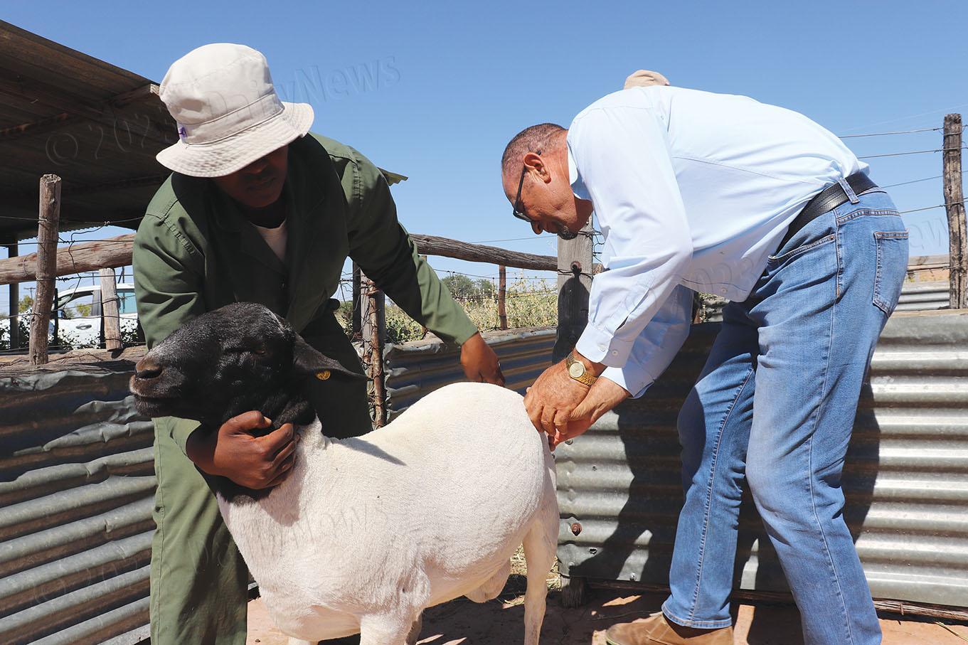 Lobu Turns into a Smart Farm Lobu Turns into a Smart Farm