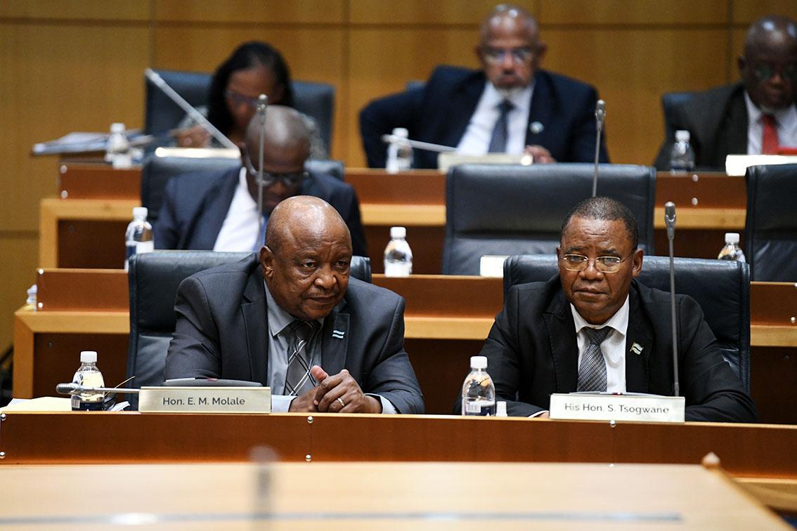 Molale appeals for private sector full participation Molale appeals for private sector full participation