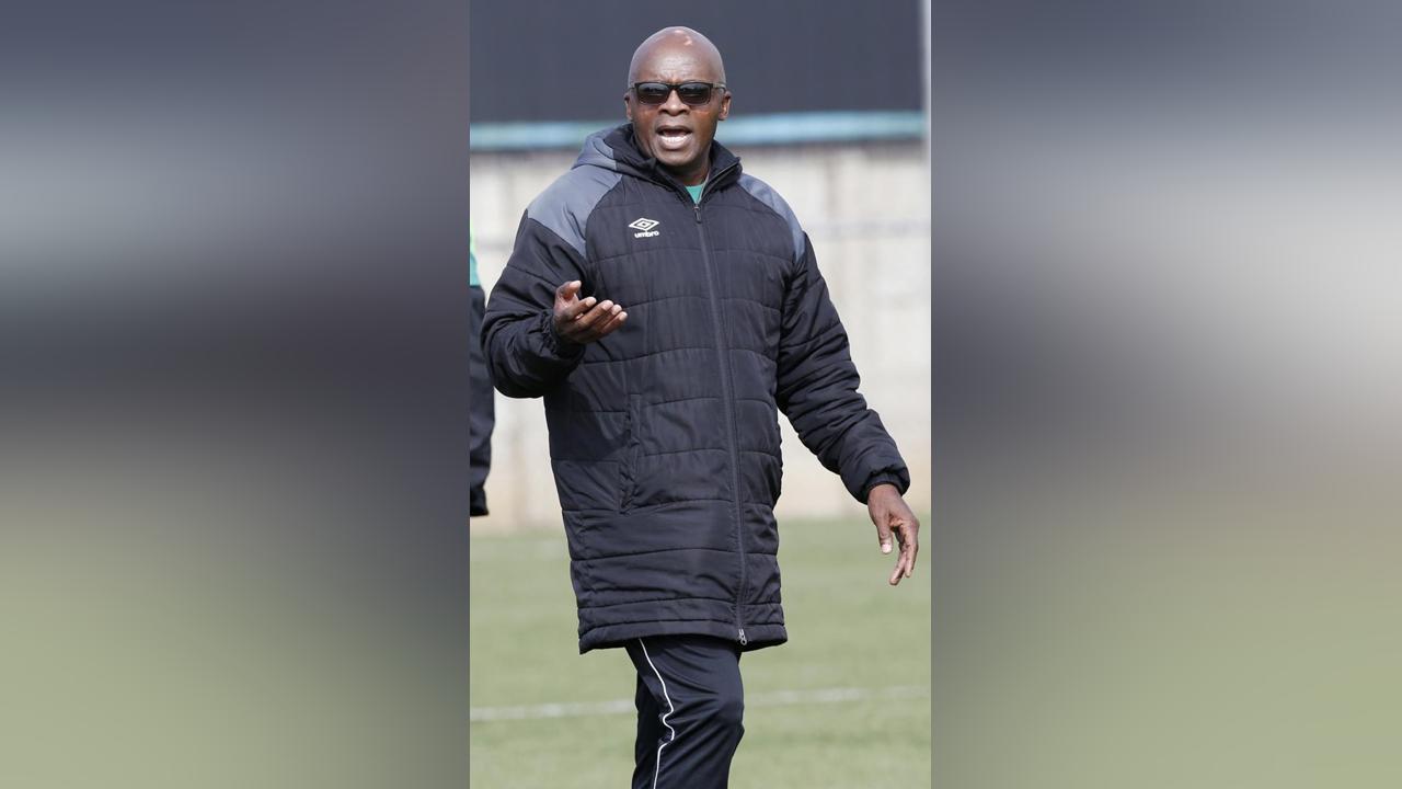 Zebras raring to go despite Loss Zebras raring to go despite Loss