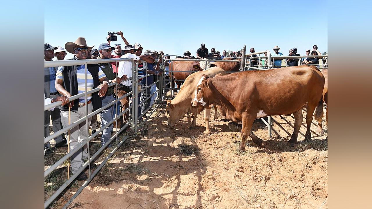 Masisi promotes artificial insemination at farmers event Masisi promotes artificial insemination at farmers event