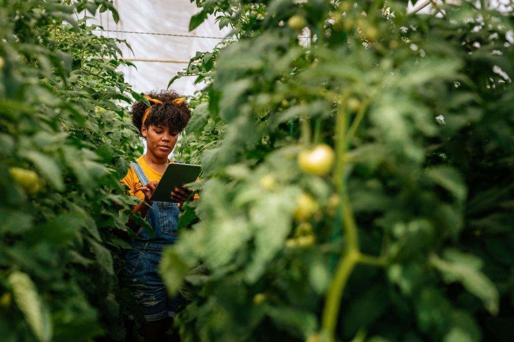 Equator Launches Fund Targeting Critical Start-up Funding Gap to Power Africa’s Climate Revolution Equator Launches Fund Targeting Critical Start-up Funding Gap to Power Africa’s Climate Revolution