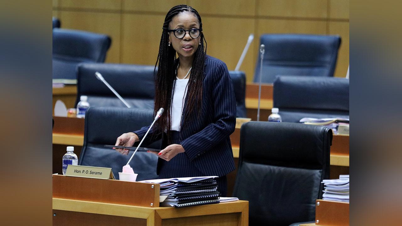 FOREIGN RESERVES DECLINE - SERAME FOREIGN RESERVES DECLINE - SERAME