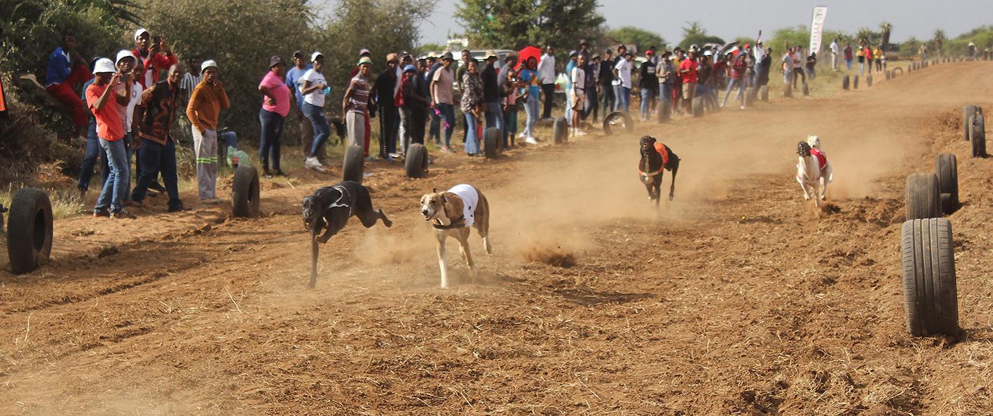 Sport offers tourism opportunities Sport offers tourism opportunities