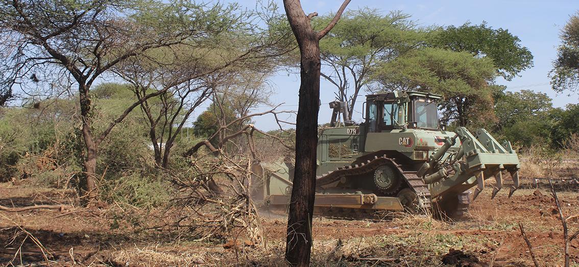 Wildlife department on bush clearing exercise in Kasane Wildlife department on bush clearing exercise in Kasane