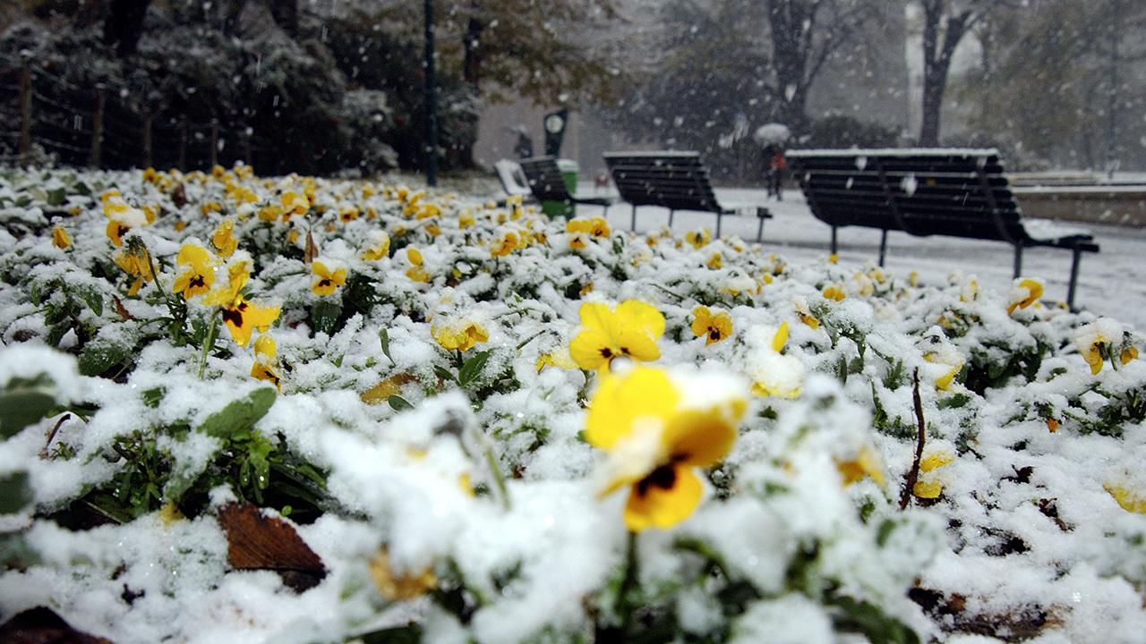 NORMAL TO ABOVE-NORMAL TEMPS EXPECTED THIS WINTER NORMAL TO ABOVE-NORMAL TEMPS EXPECTED THIS WINTER