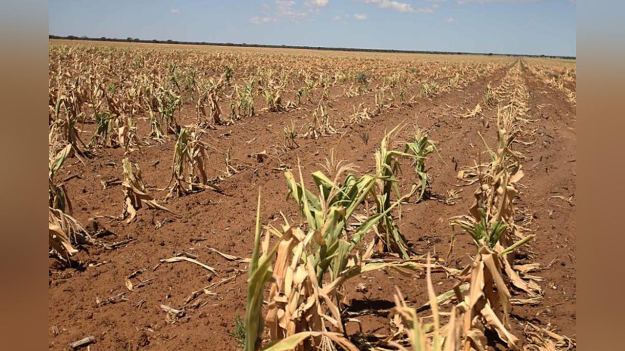 Wealthy States urged to fund Botswana’s climate change mitigation efforts Wealthy States urged to fund Botswana’s climate change mitigation efforts