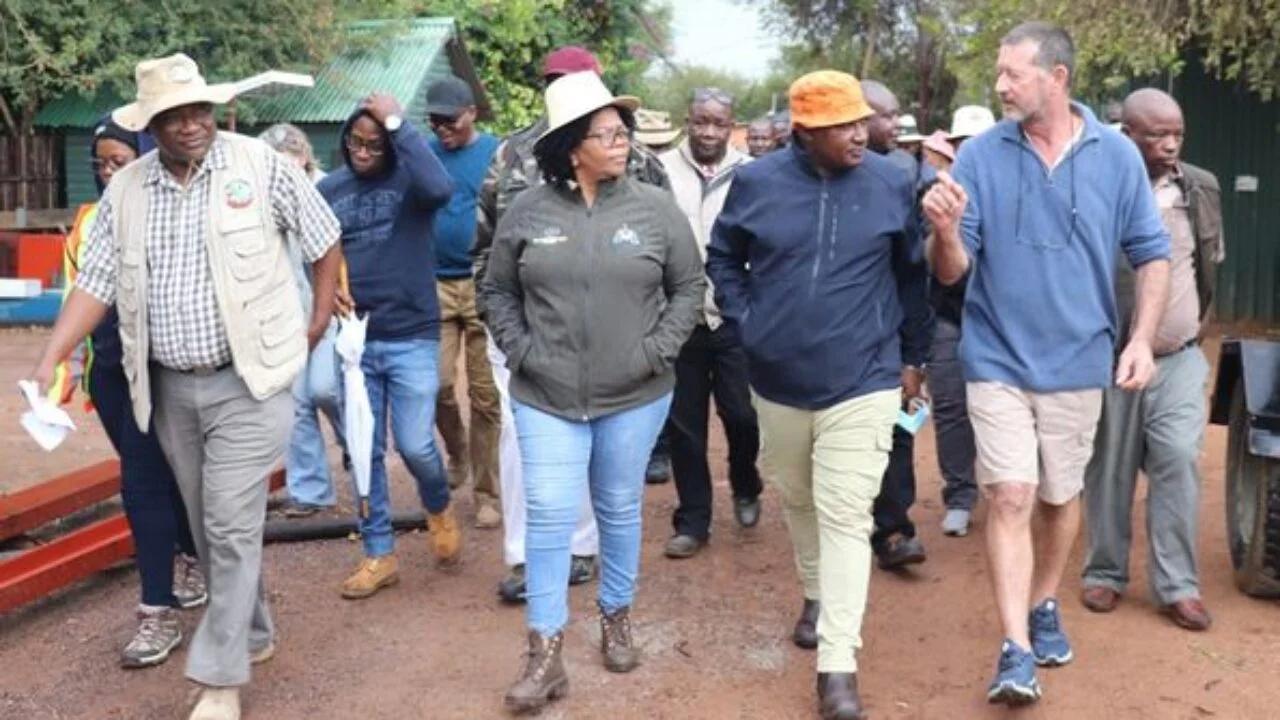 WORKPLACE WELLNESS PROGRAMMES BOOST TEAM SPIRIT WORKPLACE WELLNESS PROGRAMMES BOOST TEAM SPIRIT