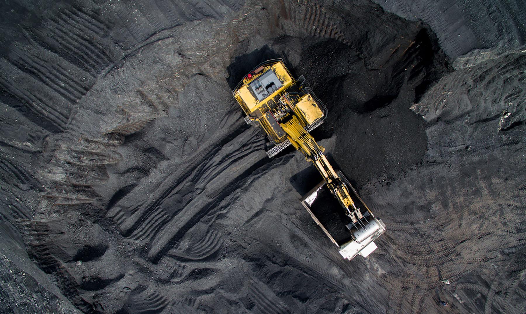 Employee Africa hold annual tree planting day Employee Africa hold annual tree planting day