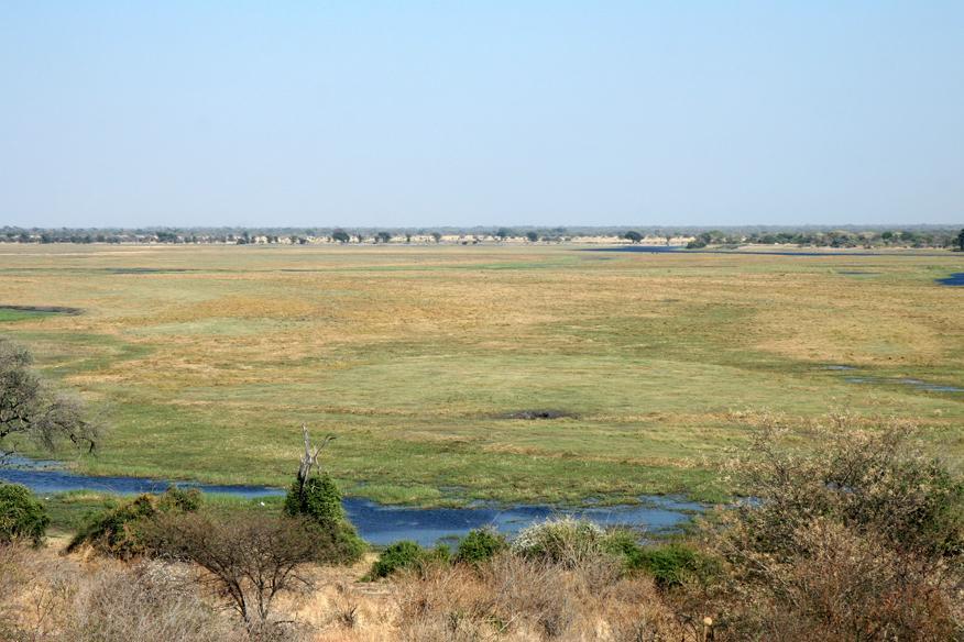 LIVESTOCK RUSTLING WORRIES SERONGA CHIEF LIVESTOCK RUSTLING WORRIES SERONGA CHIEF
