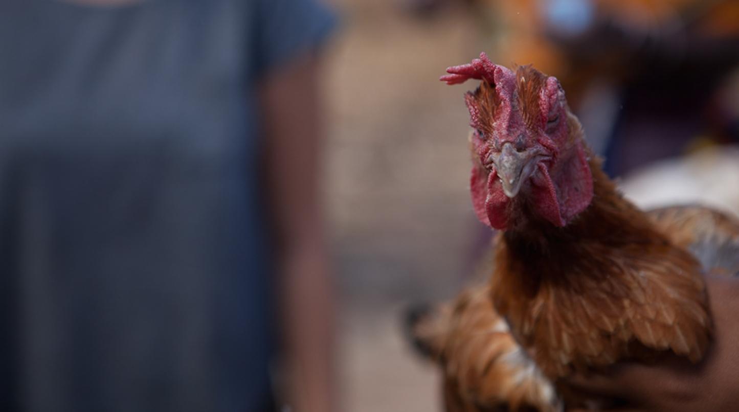 SELEBI PHIKWE COMMUNITY PROJECTS DOING WELL SELEBI PHIKWE COMMUNITY PROJECTS DOING WELL