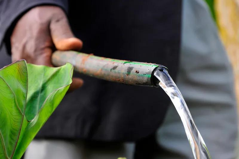 Grassroots climate action projects in Africa face a scalability dilemma Grassroots climate action projects in Africa face a scalability dilemma