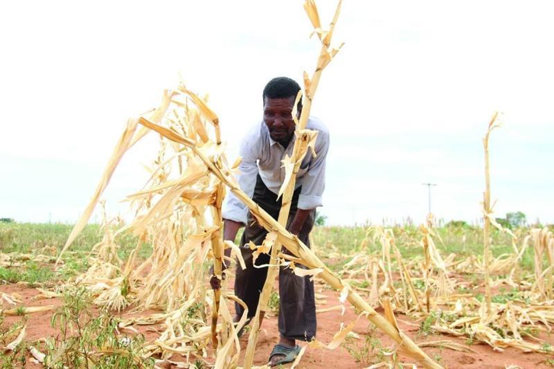 Hot, dry conditions to persist from January Hot, dry conditions to persist from January