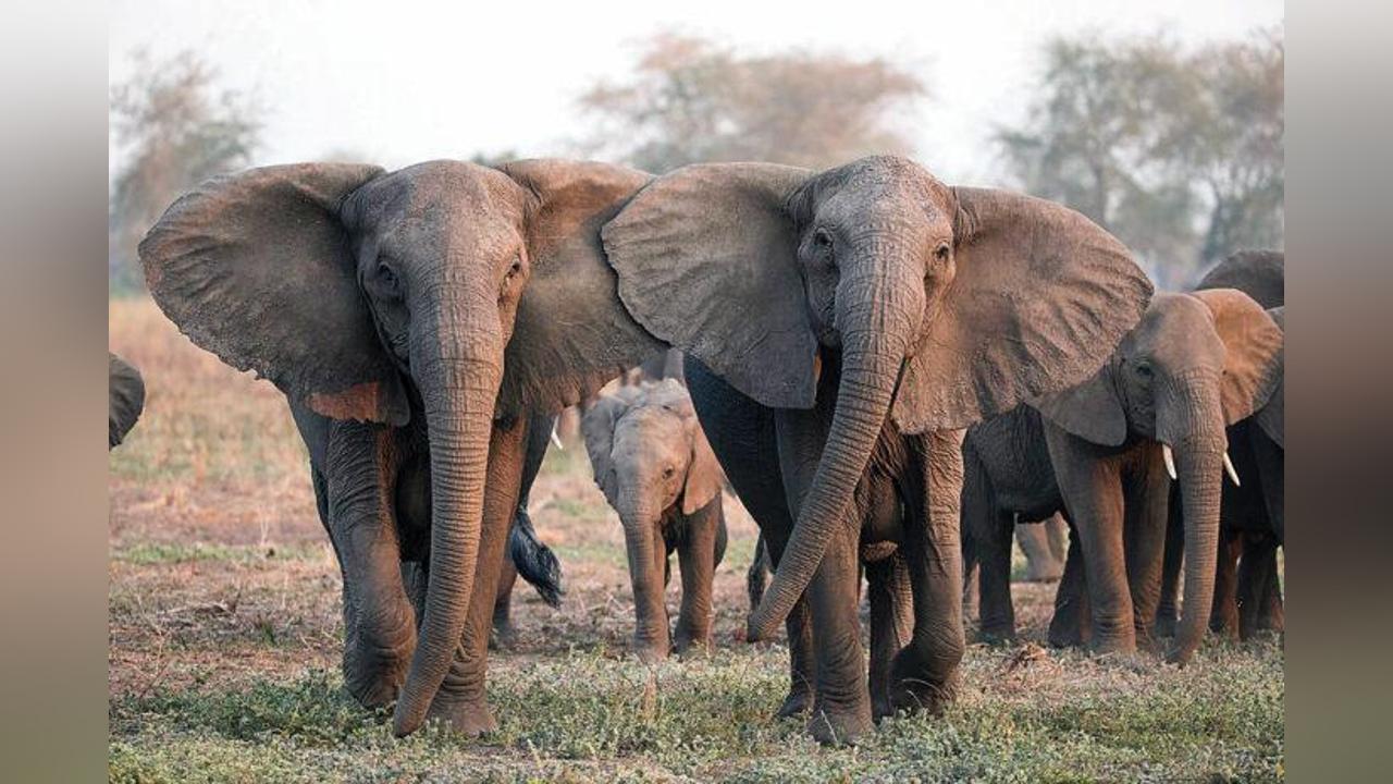 Taking The Gospel To A Wildlife Paradise Taking The Gospel To A Wildlife Paradise