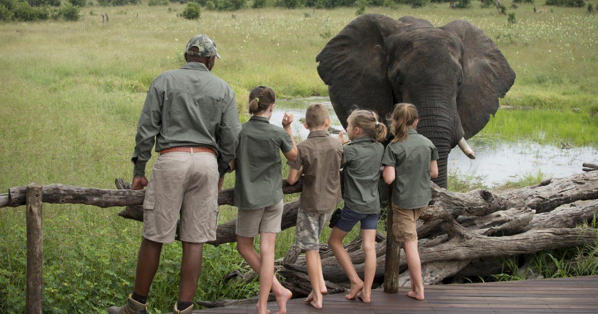 Economy Anchors on Wildlife Tourism Economy Anchors on Wildlife Tourism