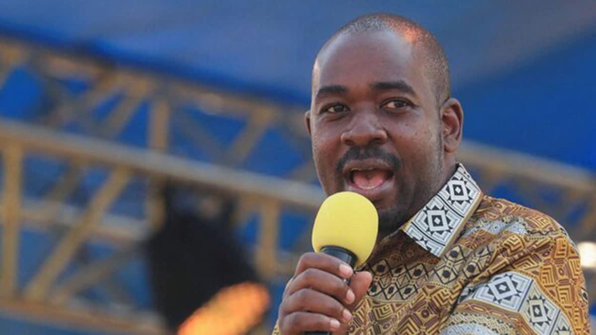 Chamisa under Scrutiny Chamisa under Scrutiny