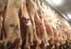EU Introduces New Deforestation Regulations for Beef Industry EU Introduces New Deforestation Regulations for Beef Industry