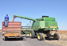 Farmers Celebrate Bumper Harvest Amid Challenges Farmers Celebrate Bumper Harvest Amid Challenges