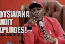 Botswana Forensic Audit BDP and Public Corruption Claims Botswana Forensic Audit BDP and Public Corruption Claims