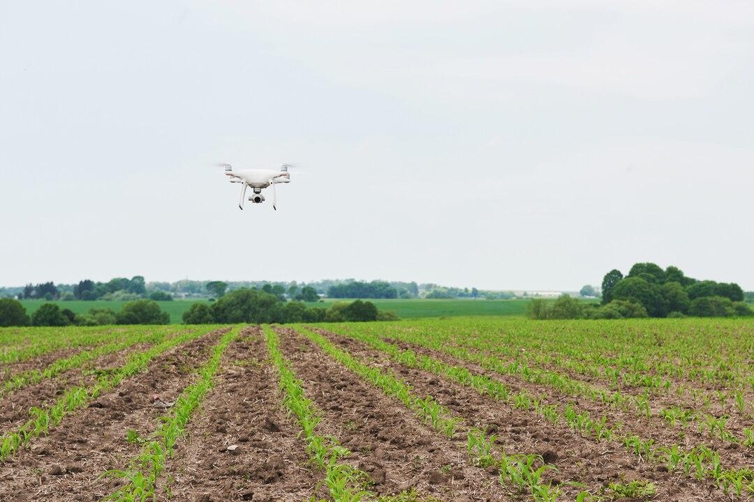 Botswana'S Drone Regulations Open Delivery and Farming Botswana'S Drone Regulations Open Delivery and Farming