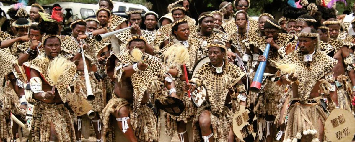 Study Reveals Overlooked Cultural Threat to Wildcats Across Africa Study Reveals Overlooked Cultural Threat to Wildcats Across Africa