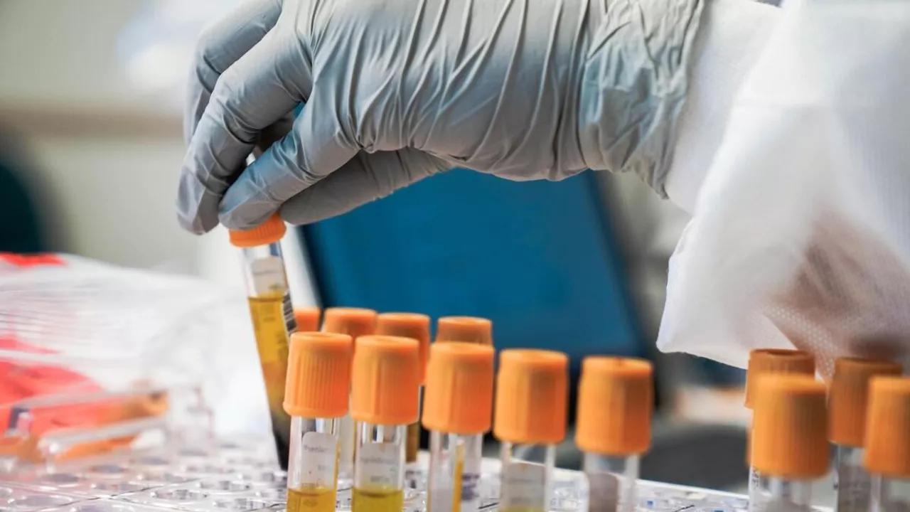 Annual Mammogram Screening Key in Cancer Fight Annual Mammogram Screening Key in Cancer Fight