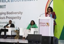 Kaza Partner States Launch Green Growth Project Kaza Partner States Launch Green Growth Project