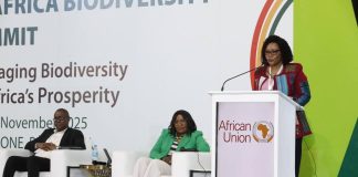 Kaza Partner States Launch Green Growth Project Kaza Partner States Launch Green Growth Project