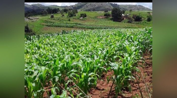 Teamwork Central to Project Success Teamwork Central to Project Success