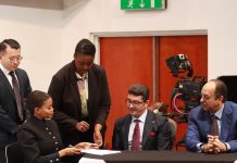 Botswana Forms Strategic Energy Partnership with Investors Botswana Forms Strategic Energy Partnership with Investors