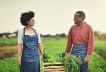 Youth Farming Cooperatives in Botswana Government Support Youth Farming Cooperatives in Botswana Government Support