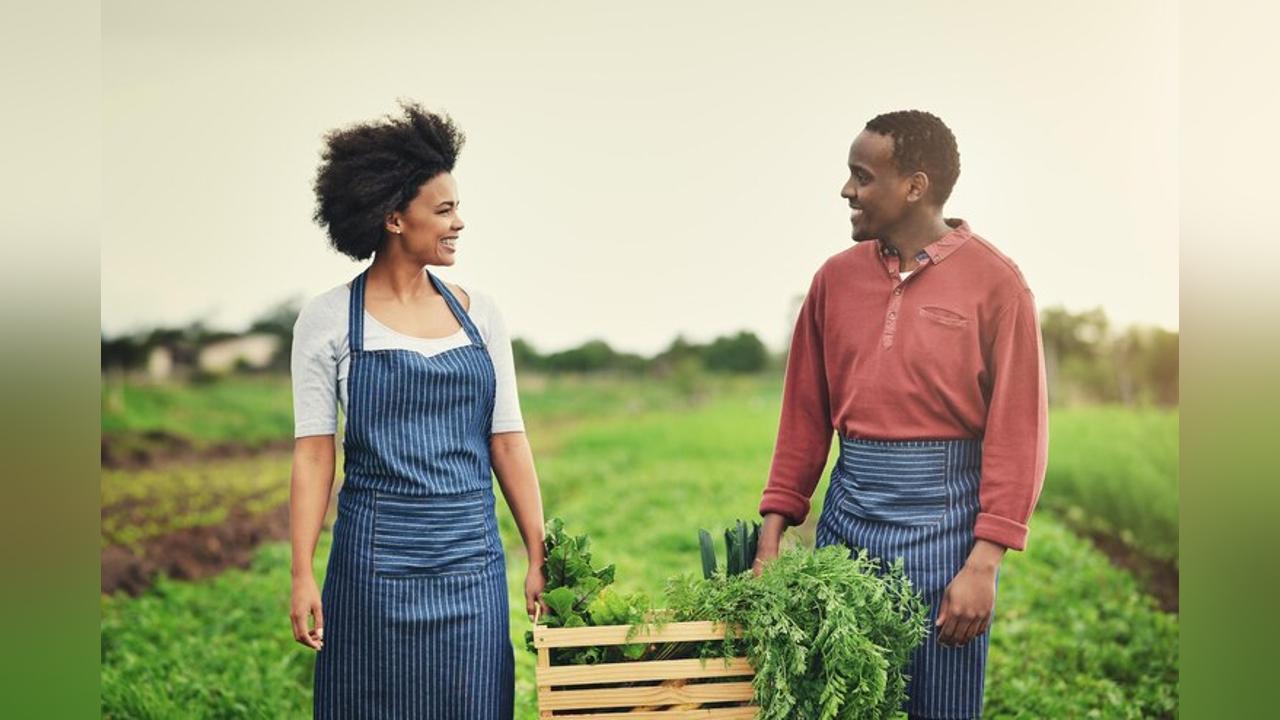 Youth Farming Cooperatives in Botswana Government Support Youth Farming Cooperatives in Botswana Government Support